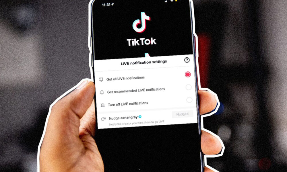 What Is the Meaning of ‘Nudge’ on TikTok? Behind New Feature