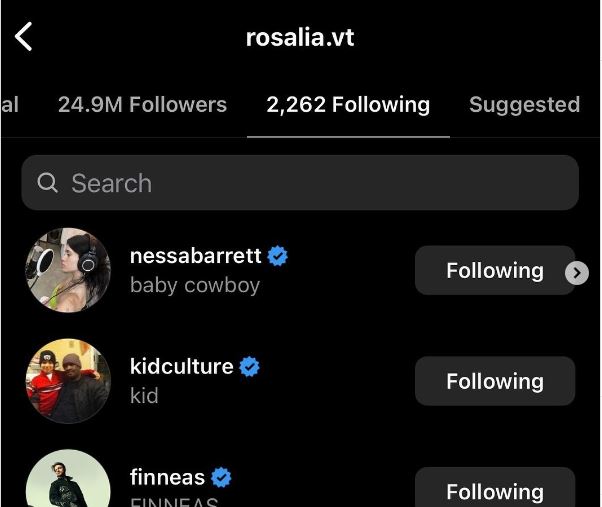 Rosalia followed Nessa Barrett on Instagram.