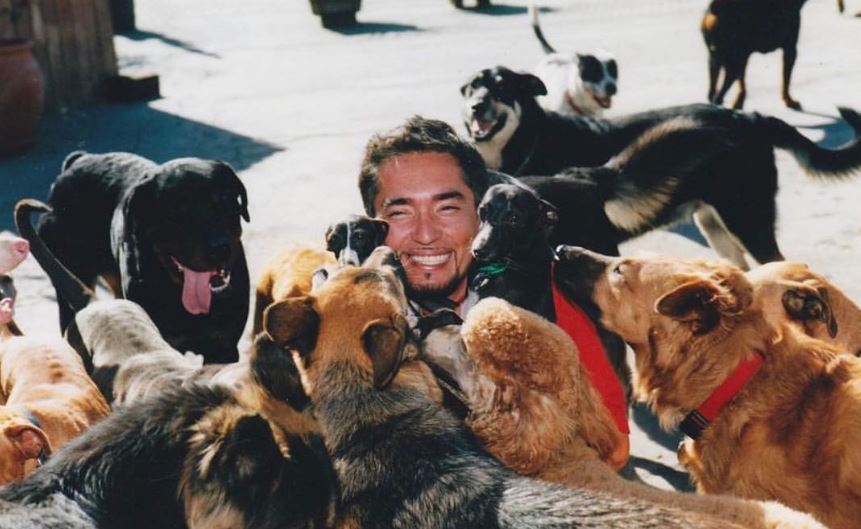 Cesar Millan with dogs, celebrating pets day