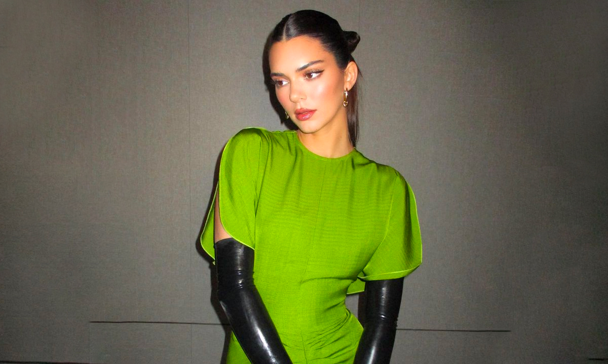 Revealing Why Kendall Jenner Dodged Pregnancy Question in ‘The Kardashians 3’ Trailer