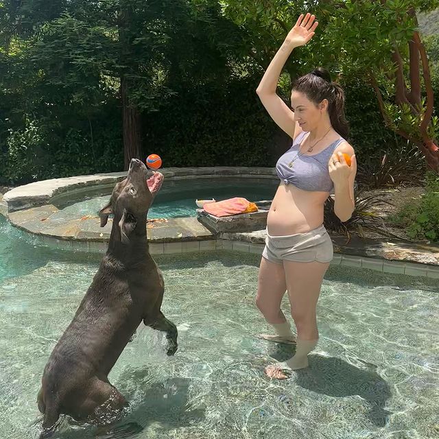 Whitney Cummings announced her pregnancy with this picture