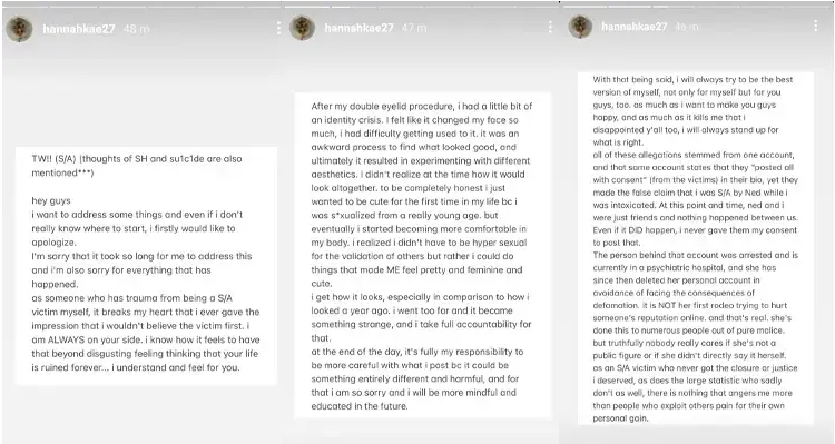 Hannah Kae Kim issued apology in a series of Instagram stories