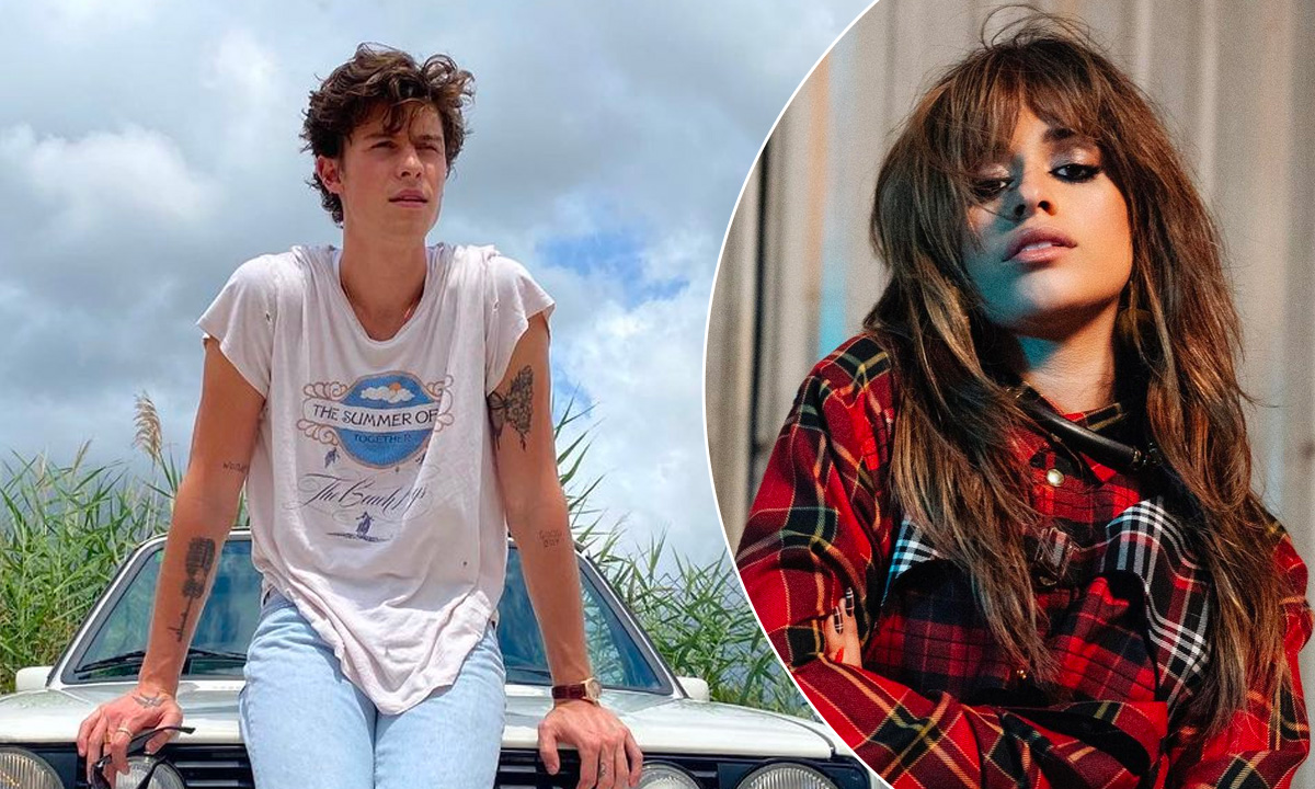 Shawn Mendes Is Apparently Dating a Lawyer Now after Brief Reunion with Camila Cabello